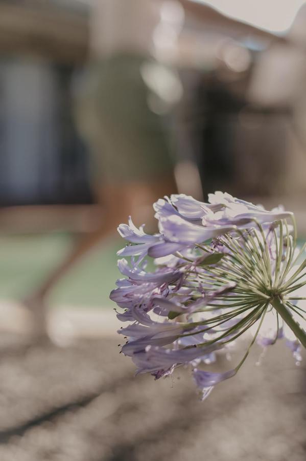 Villa Rose Guesthouse & Venue Bloemfontein Luaran gambar